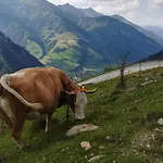Kleintierhof Seidl-eder *
