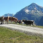 Kleintierhof Seidl-eder