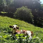 Kleintierhof Seidl-eder Rauris