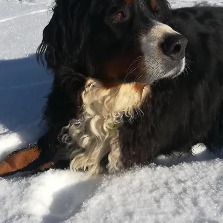 Kleintierhof Seidl-eder * Rauris