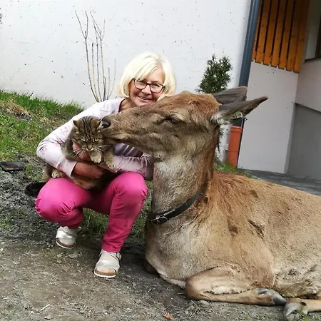 Kleintierhof Seidl-eder Alojamento de Turismo Rural Rauris