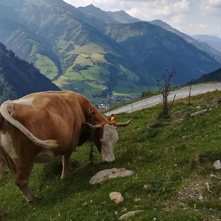 Kleintierhof Seidl-eder *