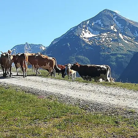Kleintierhof Seidl-eder