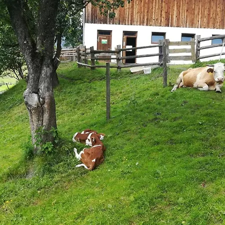 Alojamento de Turismo Rural Kleintierhof Seidl-eder *