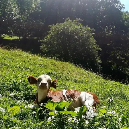 Kleintierhof Seidl-eder Rauris