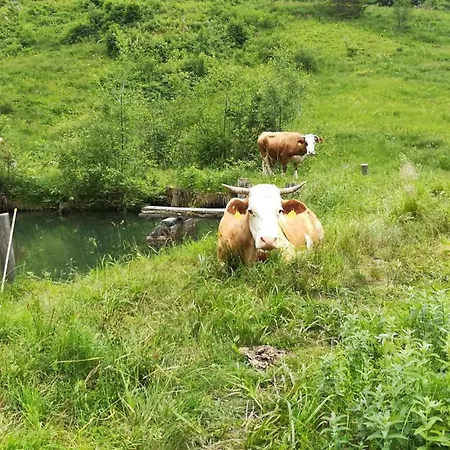 Kleintierhof Seidl-eder Alojamento de Turismo Rural *