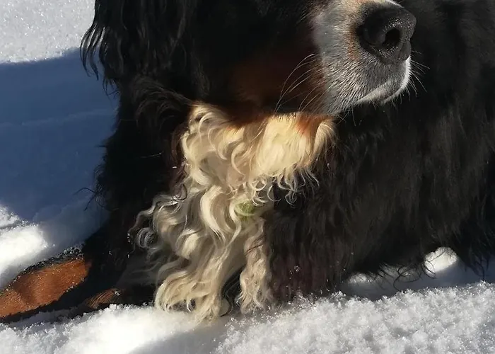Kleintierhof Seidl-eder * Rauris