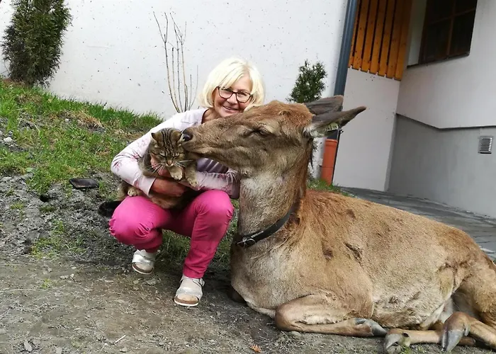 Kleintierhof Seidl-eder Çiftlik konaklama Rauris