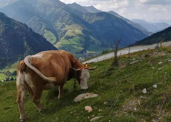 Kleintierhof Seidl-eder *