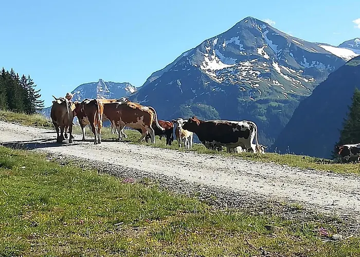 Kleintierhof Seidl-eder