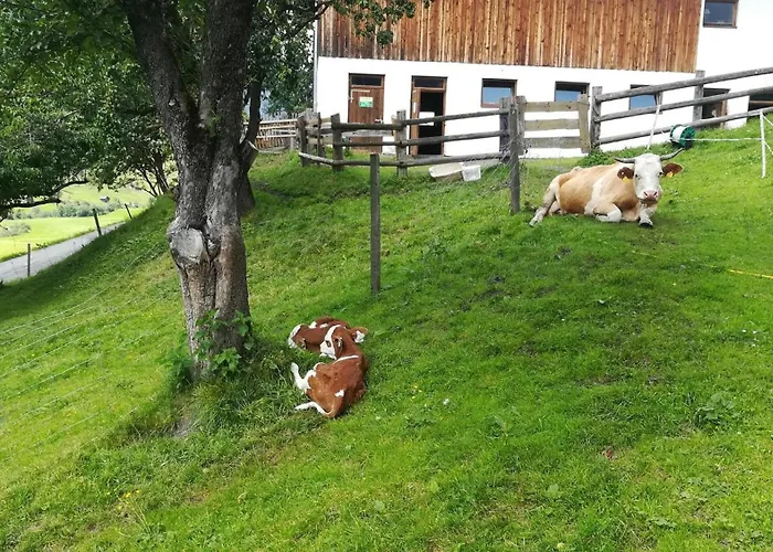 Çiftlik konaklama Kleintierhof Seidl-eder *
