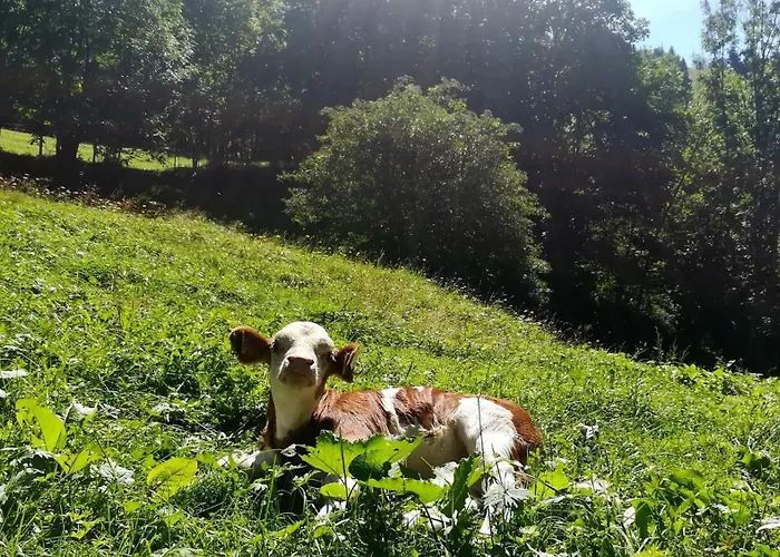 Kleintierhof Seidl-eder Rauris