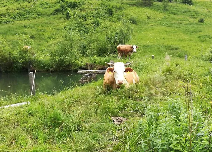 Kleintierhof Seidl-eder Çiftlik konaklama *