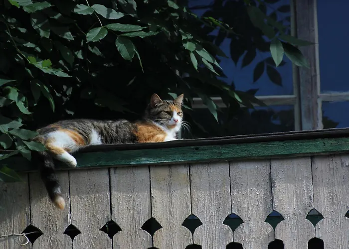 Çiftlik konaklama Kleintierhof Seidl-eder Rauris