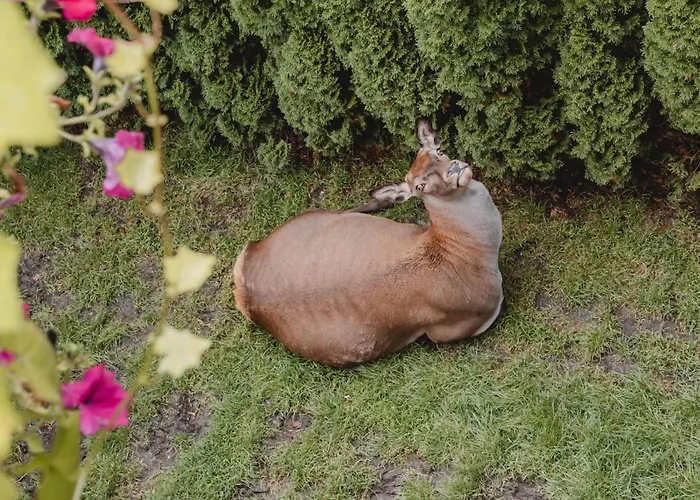 Kleintierhof Seidl-eder * Rauris